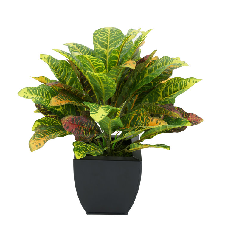 Latitude Run® 12'' Artificial Foliage Plant in Pot & Reviews Wayfair